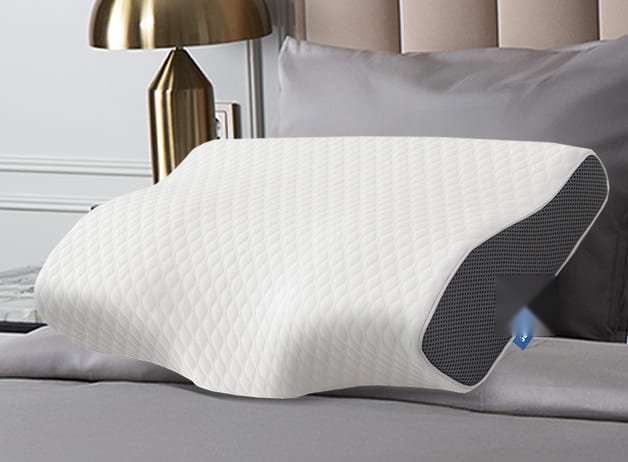 ErgoZen ergonomic pillow